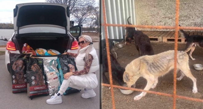Плеймейтката Глория Аенска и „Добрите феи“ спасяват живота на 150 кучета