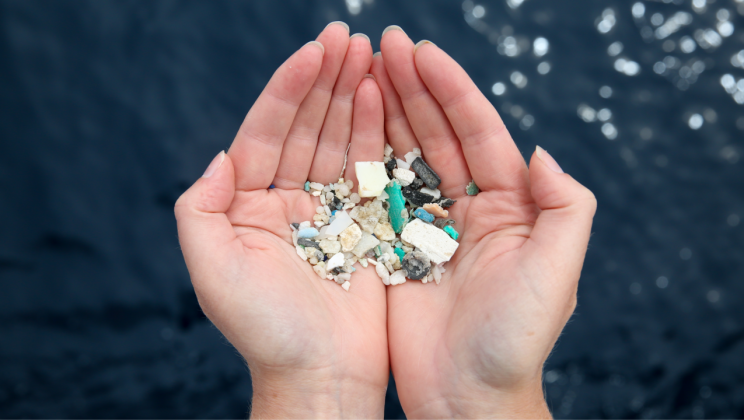 Празнуваме Световния ден на океаните с документалния филм “Х трилионa” на 8 юни по Discovery