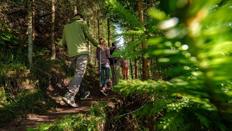 Пампорово дава начало на летния сезон на 28 юни