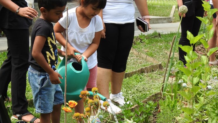 60 деца от различни етноси се включиха в „Зелено селско училище“ с цел опазване на околната среда