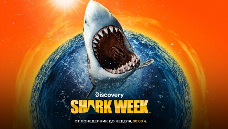Зрелищни кадри и революционни научни открития – „Седмицата на акулите“ започва на 28 юли, понеделник, по Discovery