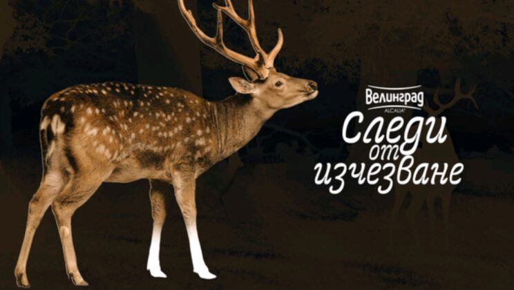 Еко Музей Русе става домакин на пътуващата изложба „Следи от изчезване“