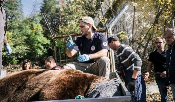 Зоопарк Благоевград с мерки за опазване на мечките и с крачка напред към своето развитие