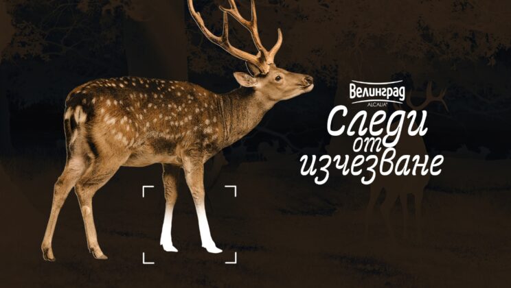 Пловдив е домакин на пътуващата изложба „Следи от изчезване“